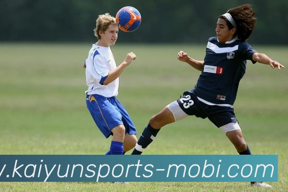 App Interface Preview